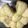 クック9P6O5D☆'s cooksnap of when they made 白パン風 炊飯器でふんわりりんごぱん.
