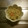 紺屋高尾's cooksnap of when they made 煮魚の残り汁で。オカラの炒り煮.