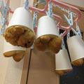 sayokoさん's cooksnap of when they made ノンオイル♪ 紙コップのシフォンケーキ.