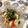 ぽぽきゅ's cooksnap of when they made *ちくわ梅海苔わさび和え*.