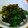ゆうき８１'s cooksnap of when they made ゆき菜の胡麻和え.