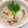 cocoりえ's cooksnap of when they made 胃弱ダイエット【蕎麦米なめこのみぞれ粥】.
