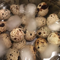 santomama's cooksnap of when they made ぷちとろ～♫半熟うずら卵.