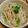 うぅこちゃん's cooksnap of when they made 雪菜ともやしのおひたし.