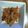 クックOYTSP1☆'s cooksnap of when they made 子供も喜ぶきんぴらごぼう.