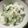 クックGFY8CA☆'s cooksnap of when they made 簡単大根の葉の混ぜご飯.