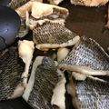 kittycatjp's cooksnap of when they made 魚の煮付け黄金比.