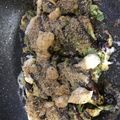 meym1128's cooksnap of when they made キャベツと卵のお好み焼き風.