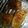 クック105KEH☆'s cooksnap of when they made 魚焼きグリルで簡単ハッセルバックポテト.