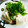 のらのらのらのらのら's cooksnap of when they made 男の！アヒージョ風？おつまみ豆腐.