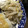 クック3WI5PE☆'s cooksnap of when they made 簡単～♬もやしの胡麻マヨポン和え.