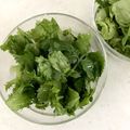 MOEIKUママ's cooksnap of when they made パクチーとサニーレタスとキュウリのサラダ.