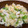c_masahiro's cooksnap of when they made ササッと♫ささみと梅のレタスチャーハン.