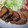 じんとっと's cooksnap of when they made しっとり煮豚.