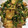クック48M6TD☆'s cooksnap of when they made お弁当用 鶏の照り焼き.