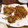 トイピアノ弾きのねこ's cooksnap of when they made ごぼうと人参と豚肉のカレー粉かき揚げ.