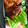 クックJDRLCG☆'s cooksnap of when they made 簡単☆旨い！鶏の唐揚げ☆甘辛タレ♪.