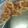 xyzクック's cooksnap of when they made レンコンの素揚げ.