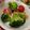 もんぴぴっぴ's cooksnap of when they made ☆簡単☆彩り野菜とツナのイタリアンサラダ.