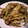 あんみつきな粉's cooksnap of when they made 簡単！豚肉としいたけのガーリック醤油炒め.