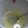 ＭＯＭＯパンダ's cooksnap of when they made ぽかぽか柚子茶　生姜風味.
