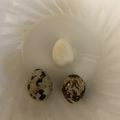 のんのん母ちゃん's cooksnap of when they made すでに塩味のうずらのたまご！驚.