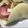 クックR5CMFN☆'s cooksnap of when they made ☆簡単おいしいクレープ☆.