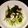 P＆G's cooksnap of when they made マグロとマヨネーズで☆ツナネーズ丼.