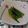 tamotan∞'s cooksnap of when they made オクラのアヒージョ.