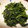 きなコッコ's cooksnap of when they made ほうれん草のたっぷり胡麻和え.