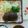 まみお✳'s cooksnap of when they made 簡単☆チーズinハンバーグ.