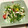 とりさん♡'s cooksnap of when they made 簡単♪やわらかササミと豆苗のサラダ♡.