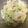 リンダにゃー☆'s cooksnap of when they made 5分で出来る！やわらぎとネギのおつまみ♪.