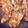 クックX9QRAV☆'s cooksnap of when they made 直帰させる!!簡単しょうが焼き.