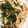 しらっこ's cooksnap of when they made ピーマンと鶏むね肉の細切り炒め.