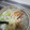 ｷｬﾊﾞﾘｴ女's cooksnap of when they made * あさりと豆もやしのスープ *.