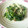 ﾛｸﾊﾗ's cooksnap of when they made ❀ほうれん草としめじのバター炒め❀.