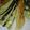 クックN2AWWI☆'s cooksnap of when they made サクッと！野菜の天ぷら.