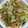 おしひと's cooksnap of when they made 簡単時短！たっぷり野菜のおかか炒め.