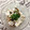 ぽぽきゅ's cooksnap of when they made はんぺんのもずく和え.