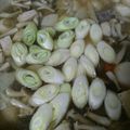 チキ会長's cooksnap of when they made 栃木の母の味。けんちん汁.