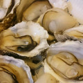 mkoo3's cooksnap of when they made 家庭で簡単に殻付牡蠣を食べる方法！.