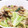 B☆Y's cooksnap of when they made キャベツともやしの回鍋肉風炒め.