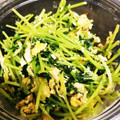 komomoten's cooksnap of when they made 簡単1分！豆苗のニンニク香味ペースト炒め.