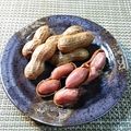 カルン's cooksnap of when they made やわらか甘いʕ•ᴥ•ʔ落花生の塩茹で.
