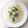 RoomA's cooksnap of when they made ワンパンで♪小松菜と海老のクリーム煮.