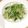 クックパッドごはん部's cooksnap of when they made もやしと水菜のゴマサラダ.