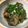 とーるさん's cooksnap of when they made こってりで酢よ！ネギまみれサンマ.