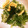 クックPIHA91☆'s cooksnap of when they made 水菜と油揚げのゴマ海苔サラダ.