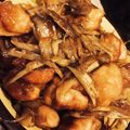 とむ子。's cooksnap of when they made 鶏ごぼうの甘辛炒め.